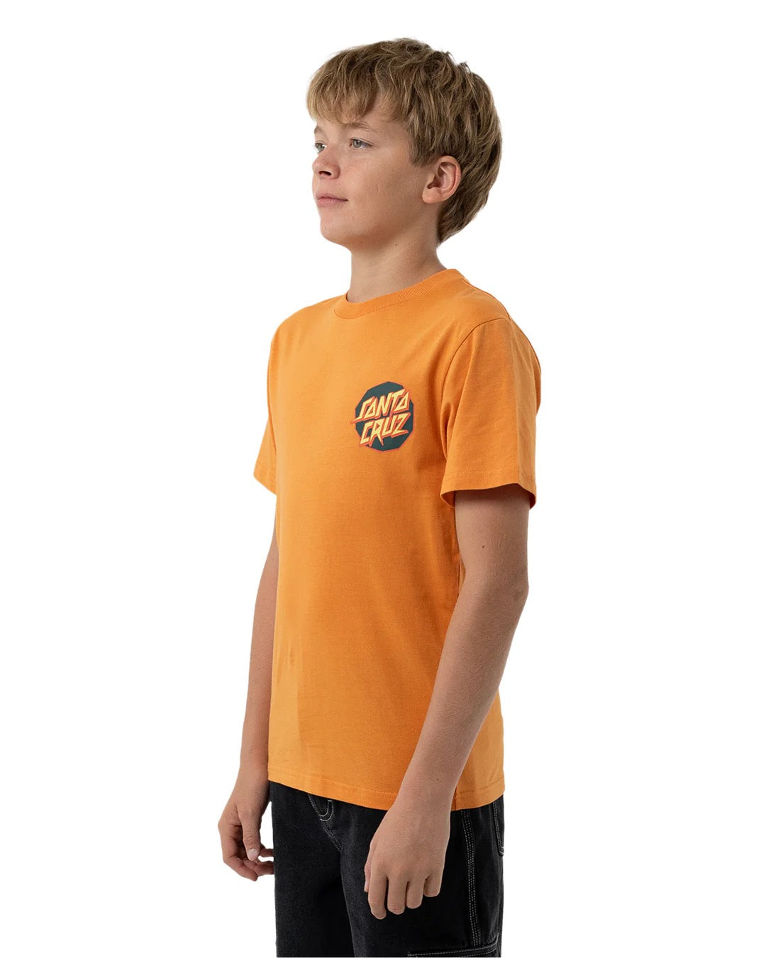 Santa Cruz Meek Scratched Slasher Tee