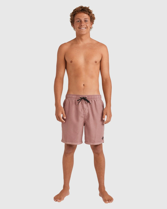 Billabong ALL DAY OD - Dusty Rose