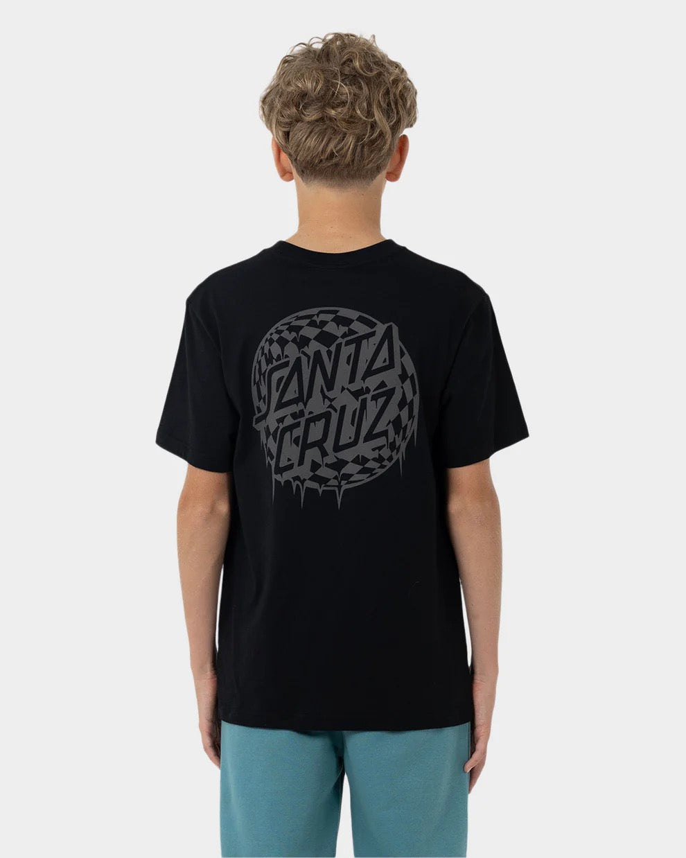 Santa Cruz CHECK WASTE DOT MONO REFLECT SS TEE