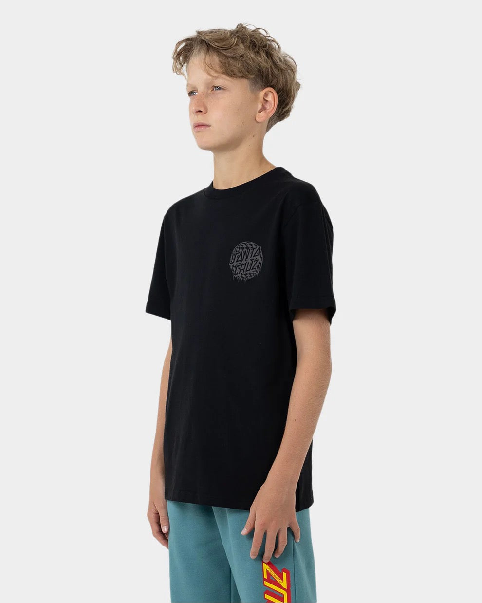 Santa Cruz CHECK WASTE DOT MONO REFLECT SS TEE