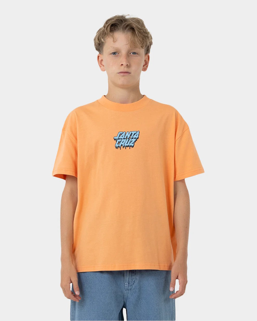 Santa Cruz SC DECAYING HAND CENTER SS TEE