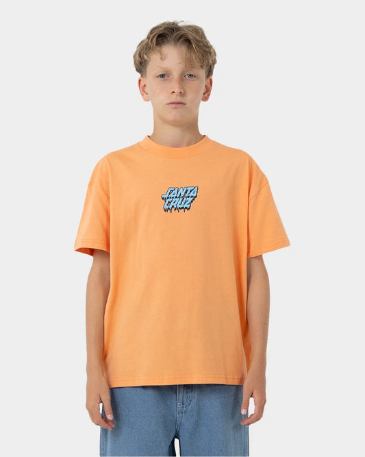 Santa Cruz SC DECAYING HAND CENTER SS TEE