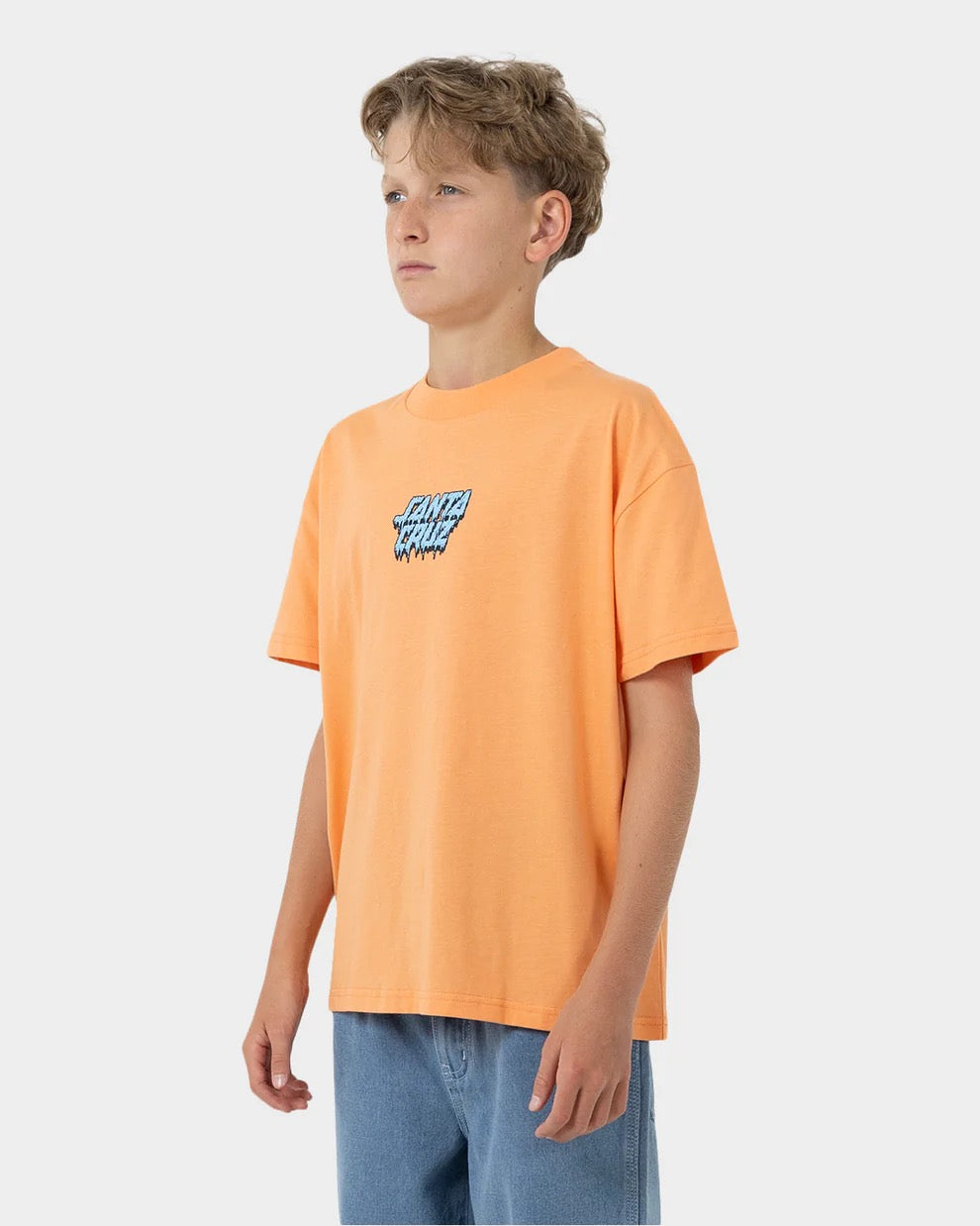 Santa Cruz SC DECAYING HAND CENTER SS TEE