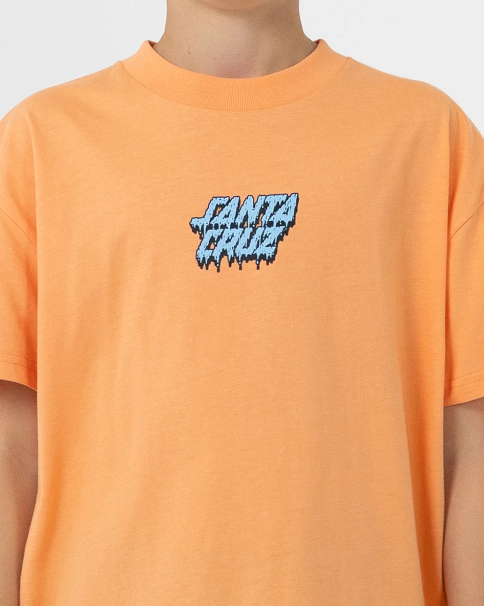 Santa Cruz SC DECAYING HAND CENTER SS TEE