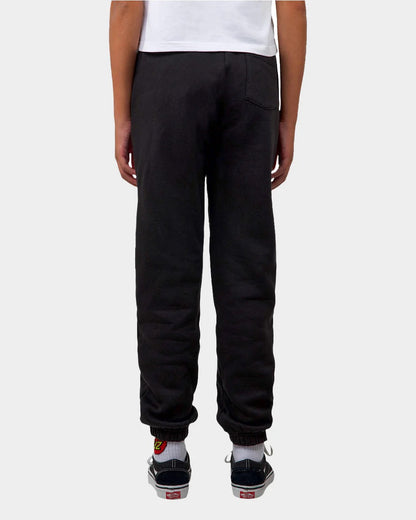 Santa Cruz STRIP BLOCK TRACK PANT