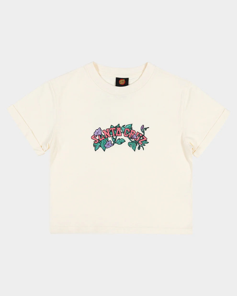 Santa Cruz CLUSTER STRIP FRONT TEE