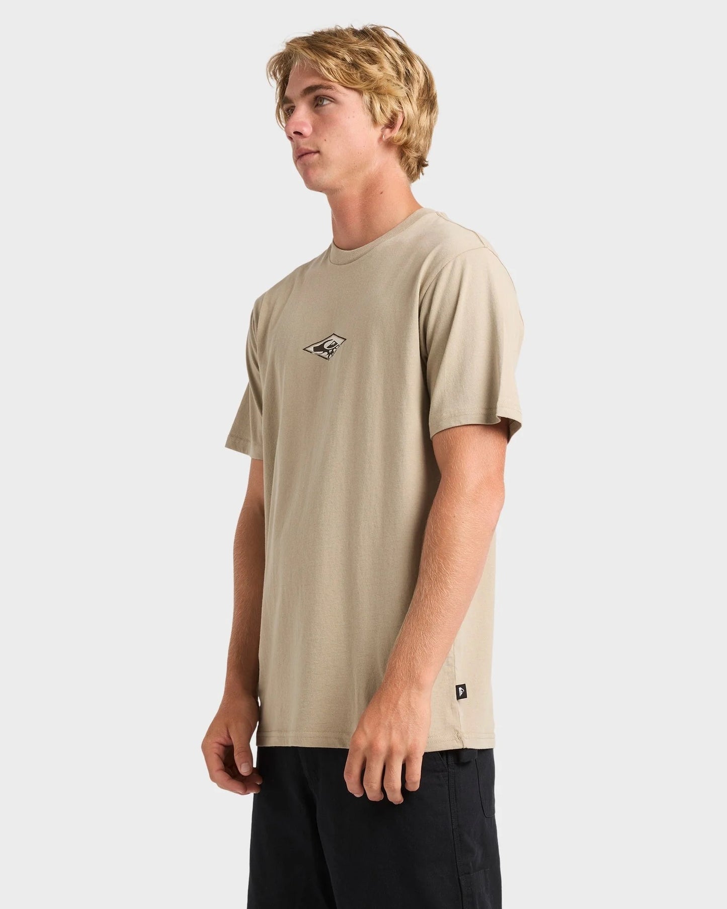 Quiksilver Thorn Arch SS