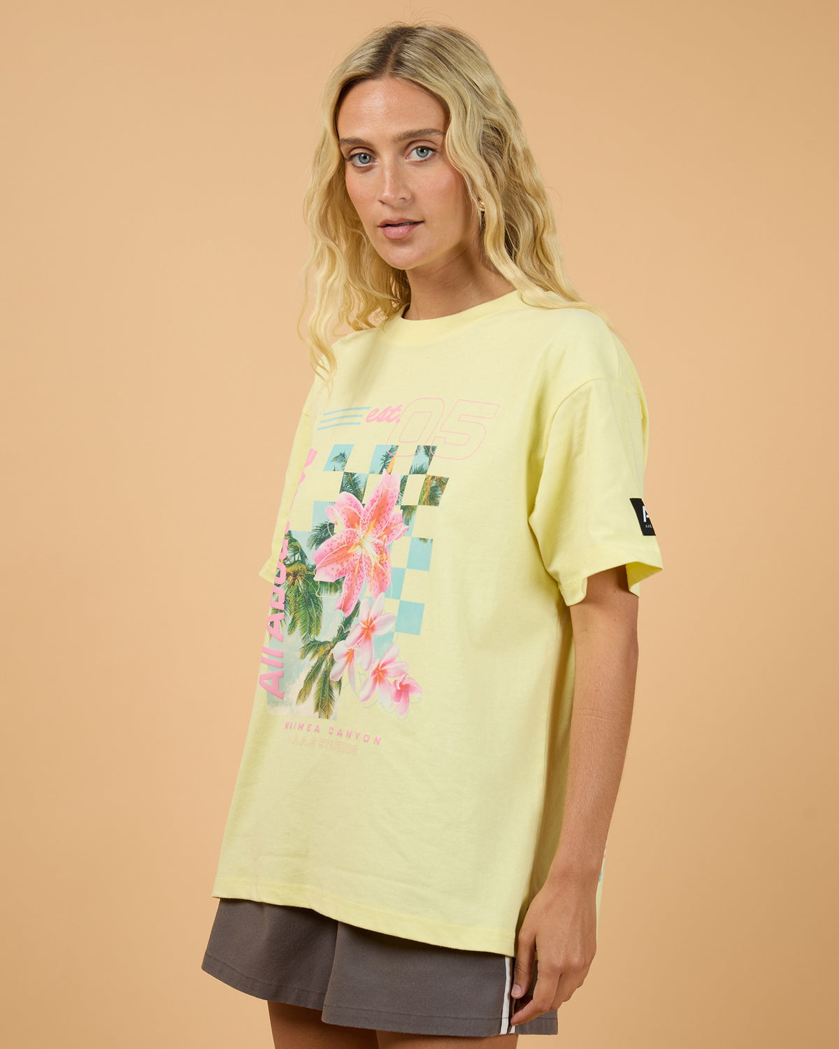All About Eve Canyon Relaxed Tee